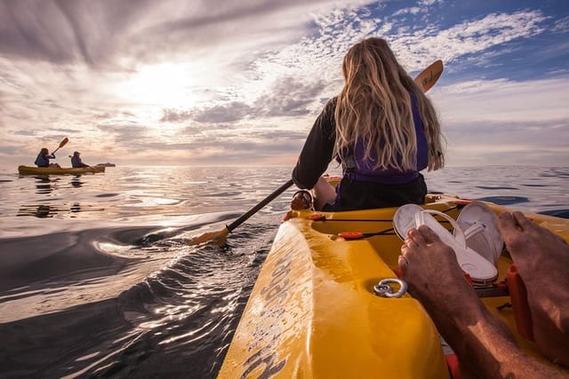 Kayak to the penguins in Simons Town - Photo 1 of 4